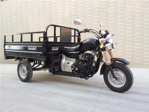 250cc Adult Rickshaw 3 Wheel Motorcycle (SY250ZH-A)